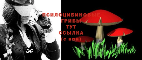 МДМА Гусиноозёрск