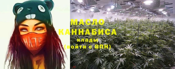 кристаллы Гусь-Хрустальный