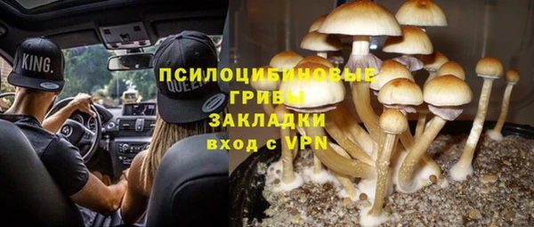 COCAINE Гусев