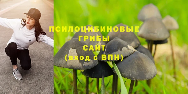 МДМА Гусиноозёрск