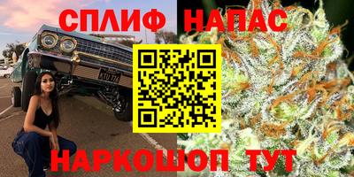 твердый Гатчина