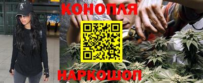 твердый Гатчина