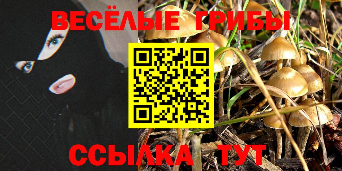 Псилоцибиновые грибы ЛСД Ефремов