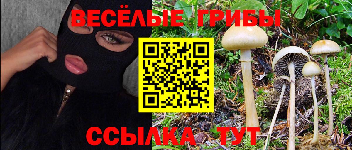 Псилоцибиновые грибы Psilocybe  Псилоцибиновые грибы ЛСД  Ефремов  Вход с VPN 