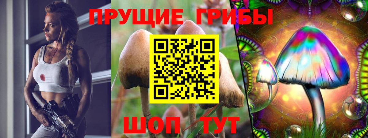 Галлюциногенные грибы мухоморы  Галлюциногенные грибы Magic Shrooms  Ефремов 