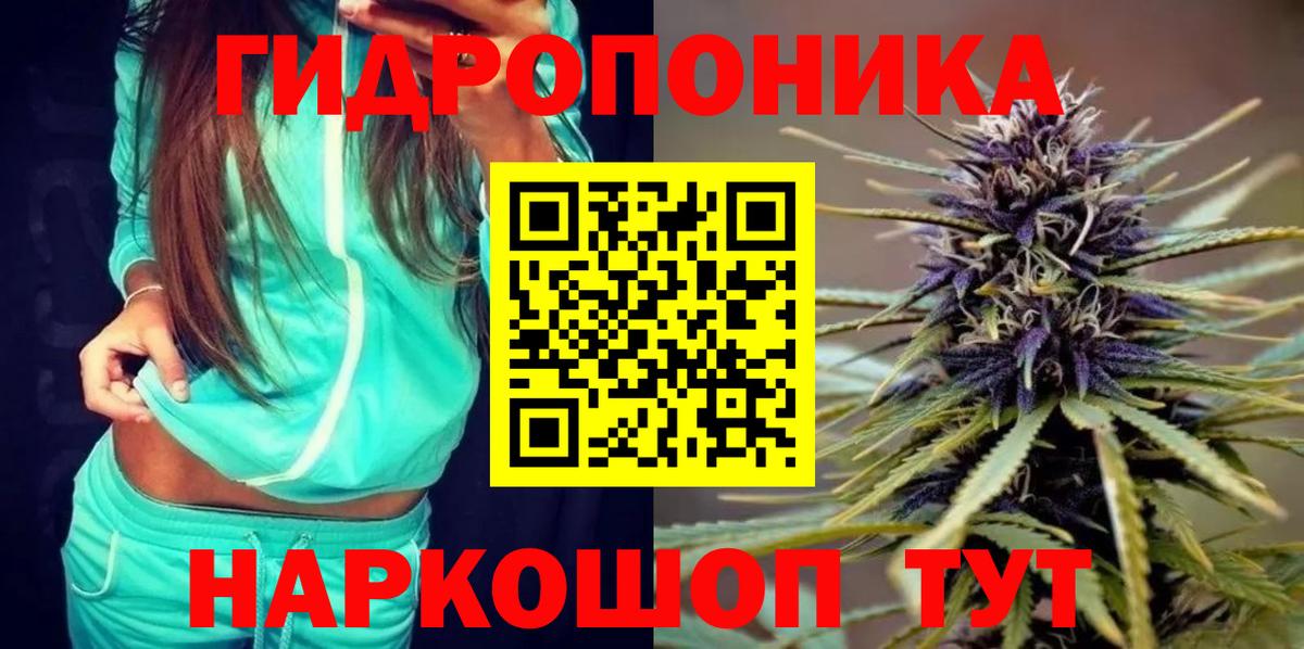 Конопля индика  Бошки марихуана OG Kush  МАРИХУАНА план  Ефремов 